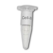 Loading reagent Cell-IN Basic 0.5