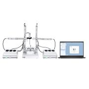 Automated stereotaxic instrument