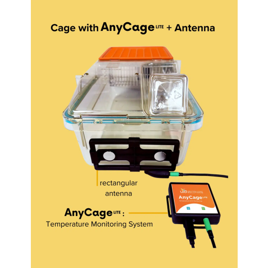 ANYCAGE-LITE-WEBSITE-GRAPHICS-3
