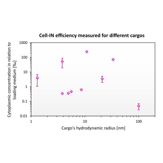 Cell-IN-efficiency